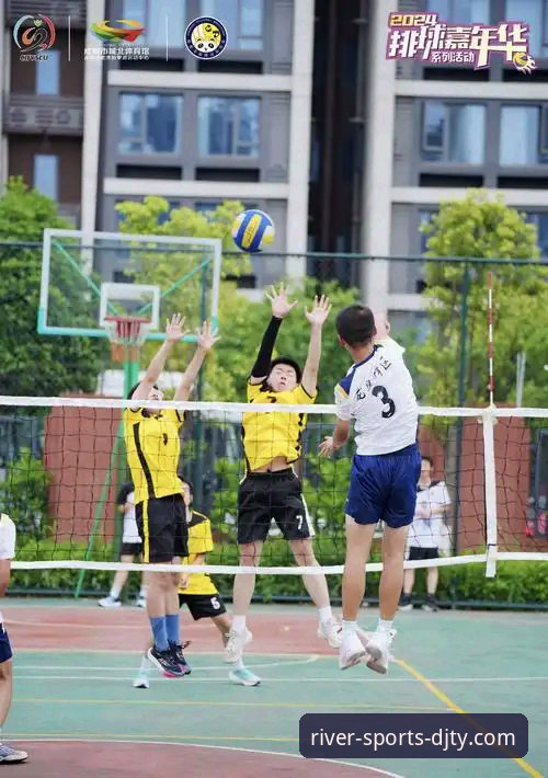 大江体育平台2024版最新动态：深度解析哪个版本更适合你